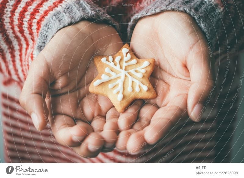 Christmas cookie in child hands Dessert Winter Decoration Christmas & Advent Child Hand Tree Sweater Delicious Brown Tradition Cookie kid one people Icing Sugar