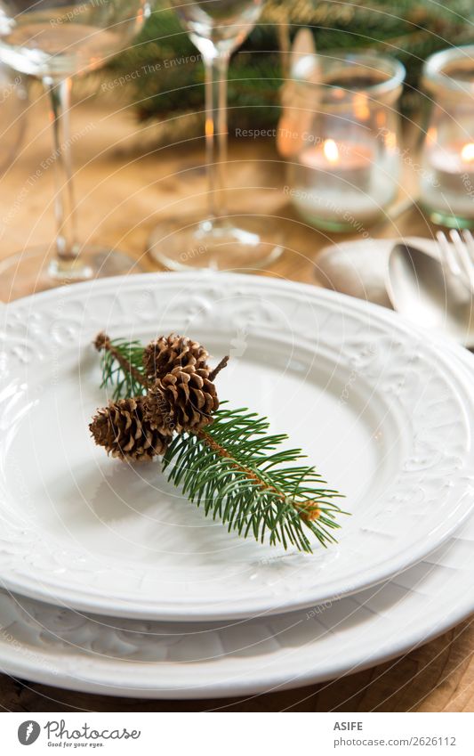 Natural ornaments for Christmas dinner Dinner Plate Cutlery Elegant Style Design Winter Decoration Table Restaurant Feasts & Celebrations Christmas & Advent
