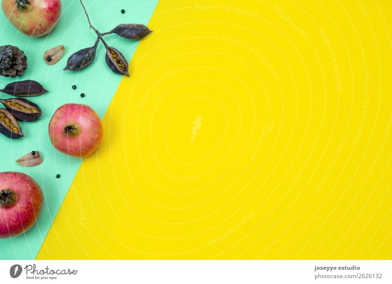 Creative Autumn layout. Fruit Design Decoration Table Nature Plant Leaf Paper Simple Above Yellow Green Red Creativity Autumnal background Banner