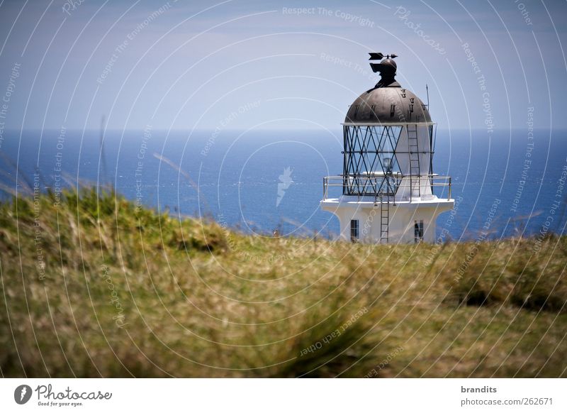 Cape Reinga New Zealand Environment Nature Landscape Water Sky Summer Beautiful weather Hill Ocean Moody Adventure Relaxation Freedom Colour photo Exterior shot