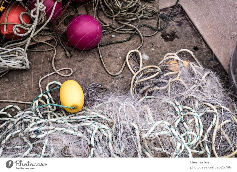 fishing net Fisherman Workplace Fishery Fishing boat Fishing net Buoy Rope Simple Yellow Violet Red Effort Expectation Idyll Sustainability Network Arrangement