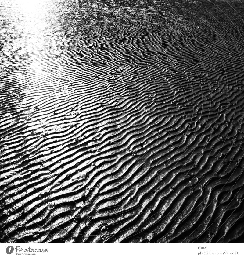 Lifelines #40 Environment Landscape Sand Water Beautiful weather Coast North Sea Esthetic Contentment Movement Art Joie de vivre (Vitality) Ease Dream Sadness
