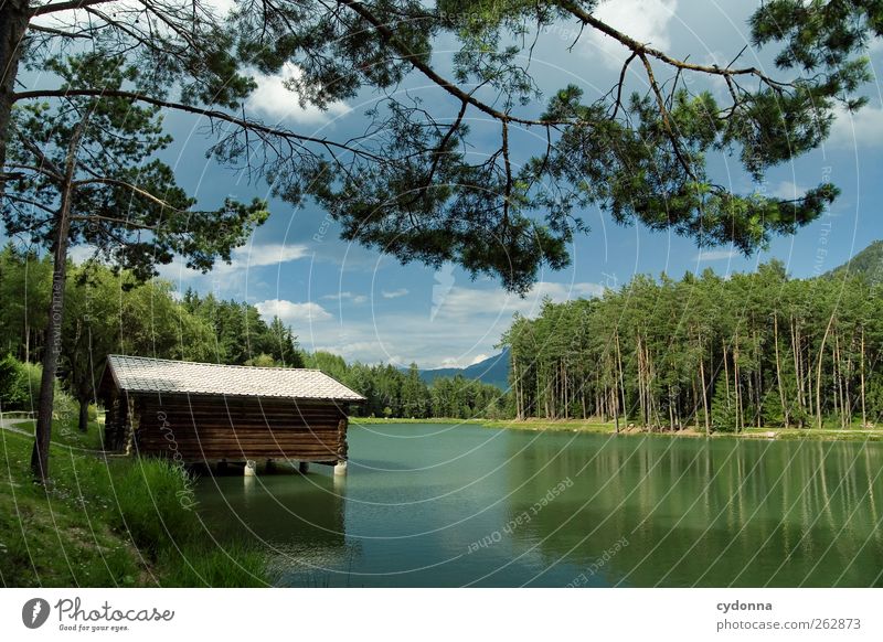 Boathouse at the Waldsee Relaxation Calm Vacation & Travel Tourism Trip Freedom Environment Nature Landscape Summer Tree Forest Alps Lakeside Hut Loneliness