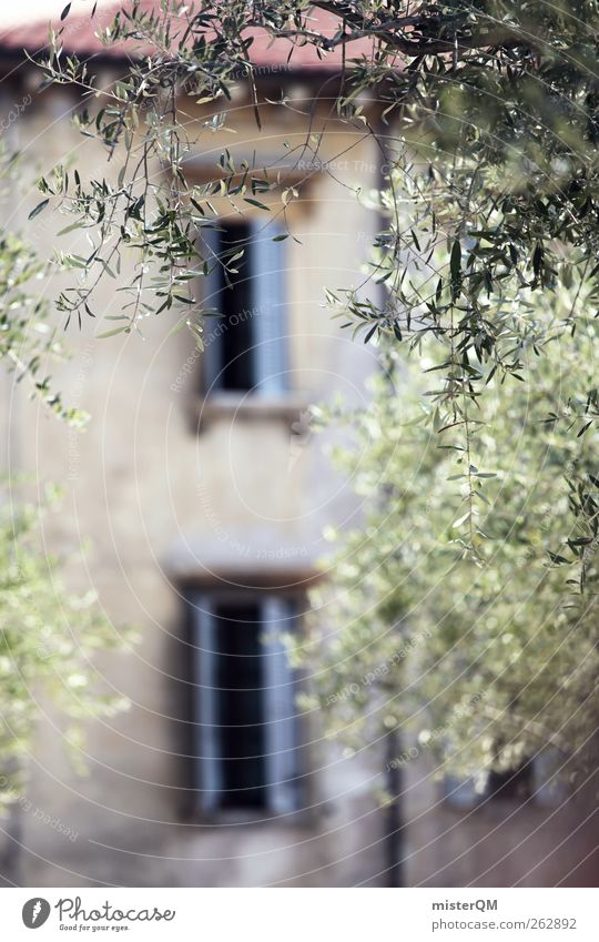 Half past nine in Verona. Town Esthetic Mediterranean Italy House (Residential Structure) Vacation home Window Shutter Olive tree Idyll Italian Flair Peaceful