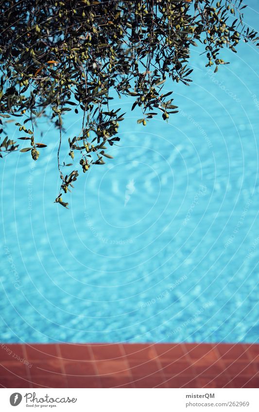 Olives by the pool. Art Esthetic Contentment Swimming pool Water Olive tree Surrealism Summer vacation Summer's day Blue Open-air swimming pool Tile Sun