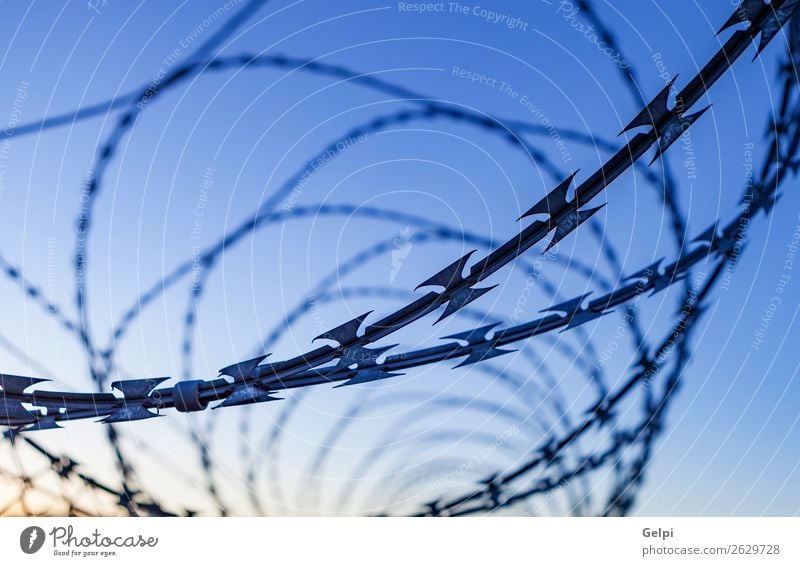 Fence with a barbed wire Freedom Camping Sky Metal Steel Rust Line Blue Black White Safety Protection Safety (feeling of) Dangerous War Penitentiary sharp