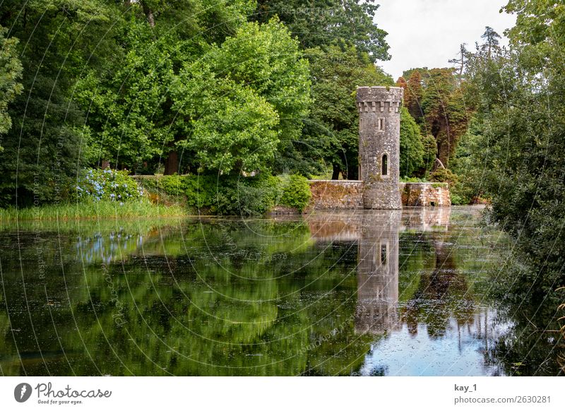 Johnstown Castle Landscape Water Summer Tree Garden Forest Lake Tower Tourist Attraction Old Esthetic Green Trust Protection Patient Calm Pride Contentment
