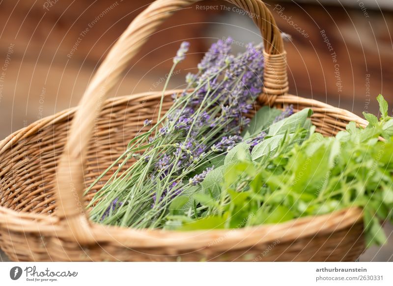 Basket with herbs from herb garden Food Herbs and spices Lavender Lavande harvest Mint Nutrition Organic produce Vegetarian diet Shopping Healthy Healthy Eating