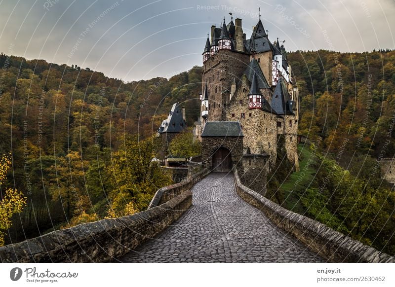 Mind games. What's the deal? Vacation & Travel Trip Adventure Sightseeing Storm clouds Autumn Forest Hill Rhineland-Palatinate Germany Castle Tower
