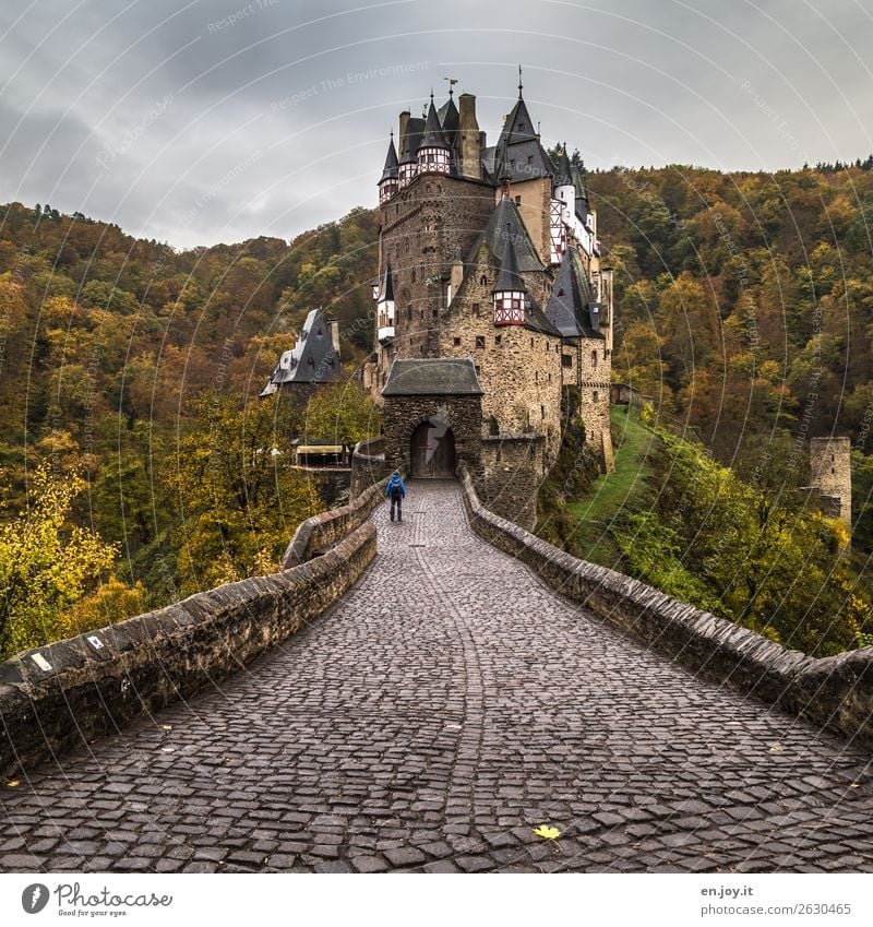 closed society Vacation & Travel Sightseeing Man Adults 1 Human being Storm clouds Autumn Bad weather Forest Hill Rhineland-Palatinate Germany Europe Castle