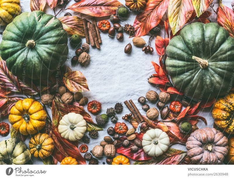 Autumn Still Life with Pumpkins, Nuts and Autumn Foliage Vegetable Lifestyle Shopping Style Design Decoration Ornament Background picture Difference