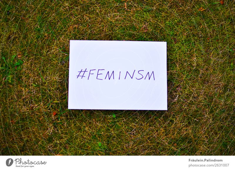 feminism Media New Media Internet Nature Earth Grass Moss Garden Park Meadow Moody Fairness Contentment Success Society Equal Competent Modern