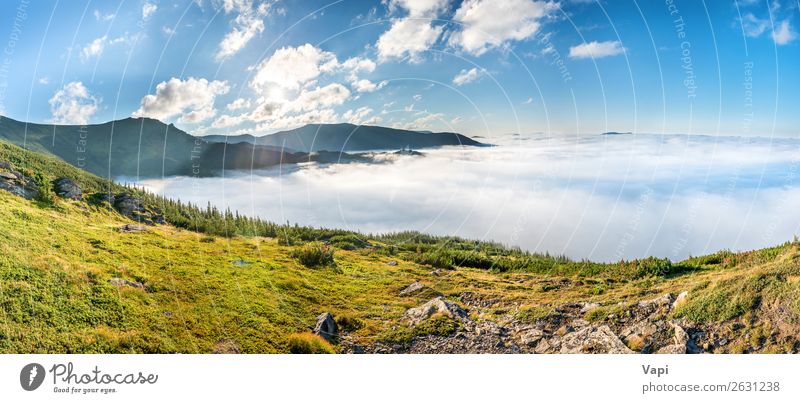 Panorama of green mountains in the clouds Beautiful Vacation & Travel Tourism Trip Summer Summer vacation Sun Mountain Hiking Environment Nature Landscape Air