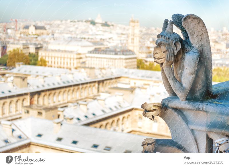 Gargoyle statue on Notre Dame de Paris Vacation & Travel Tourism Trip Adventure Far-off places Sightseeing City trip Summer Summer vacation Art Sculpture