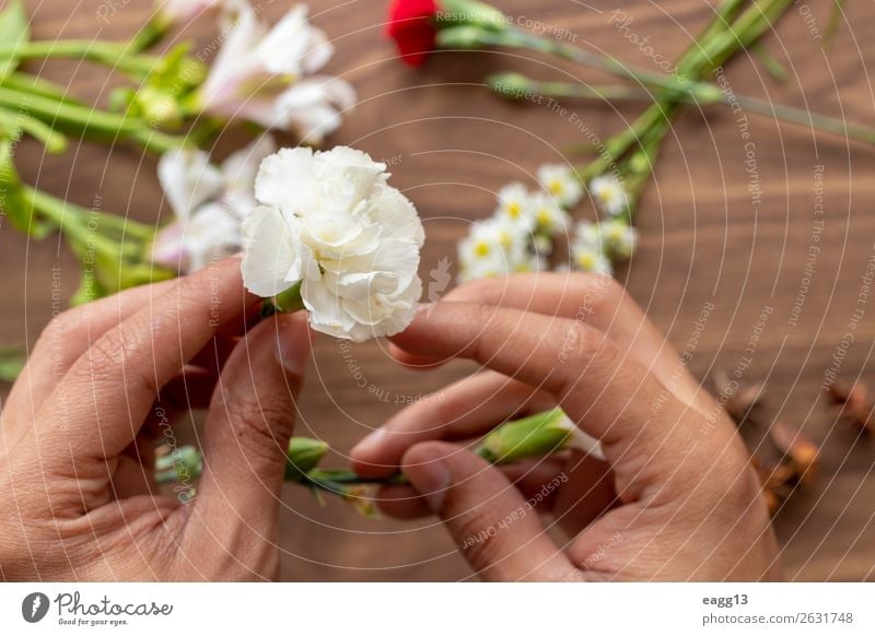 Holding flowers with hands Style Beautiful Garden Decoration Table Work and employment Gardening Human being Hand Nature Plant Spring Flower Rose Blossom