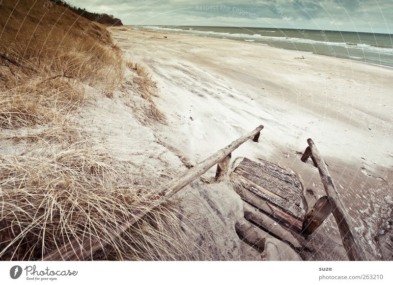 sea air Environment Nature Landscape Plant Elements Sand Water Sky Clouds Horizon Winter Climate Weather Grass Waves Coast Beach Baltic Sea Ocean Stairs