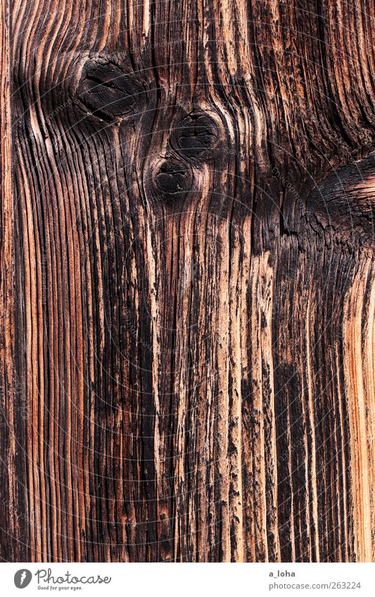 wooden Wood Line Stripe Old Dark Firm Brown Black Burnt Wood grain Branch Dry Colour photo Exterior shot Close-up Detail Abstract Pattern Structures and shapes
