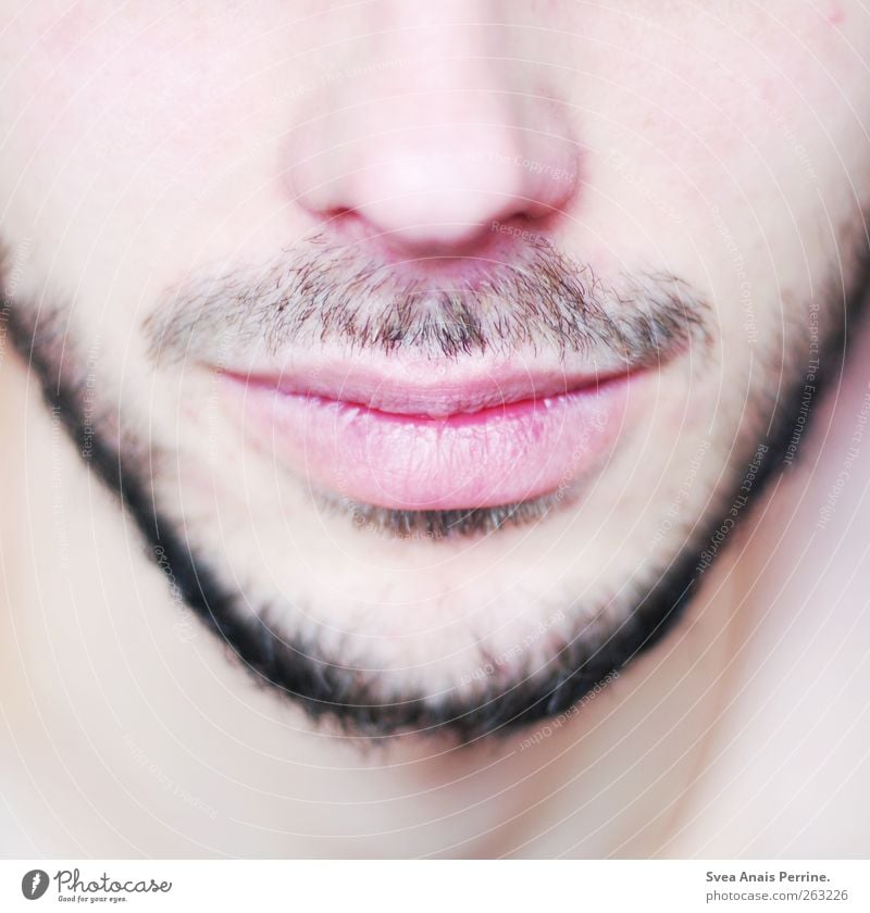 close up. Masculine Young man Youth (Young adults) Man Adults Nose Lips Chin Cheek 1 Human being 18 - 30 years Facial hair Moustache Designer stubble