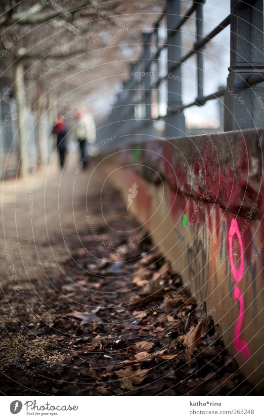 i . Graffiti Autumn Winter Characters Pink Leaf Lanes & trails Handrail Blur Human being Signs and labeling Autumnal Stand Information Colour photo