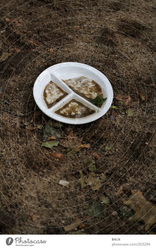 grubby Elements Earth Bowl Dirty Round Brown White Plate Crockery Division Leftovers Swinishness Colour photo Exterior shot Deserted Copy Space top