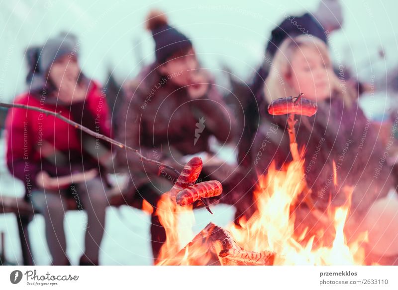 Family roasting sausages gathered around campfire Food Sausage Lifestyle Joy Leisure and hobbies Winter Snow Human being Woman Adults Family & Relations 4