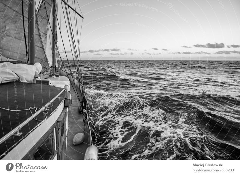 Old sailing ship cruise. Vacation & Travel Adventure Freedom Cruise Ocean Waves Sports Sailing Horizon Weather Wind North Sea Baltic Sea Transport Yacht