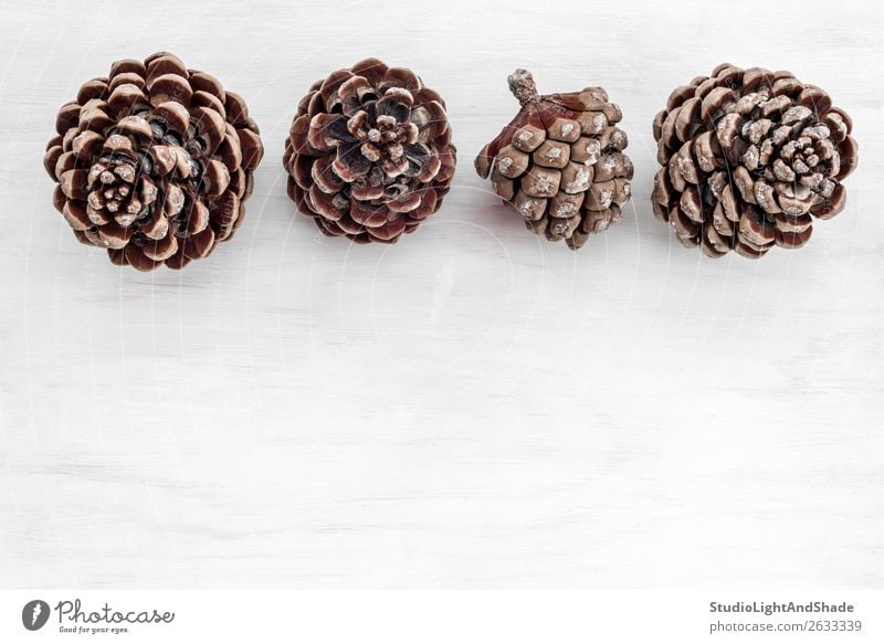 Four pine tree cones on white wooden background Style Design Interior design Decoration Table Nature Plant Tree Wild plant Forest Wood Simple Beautiful Natural