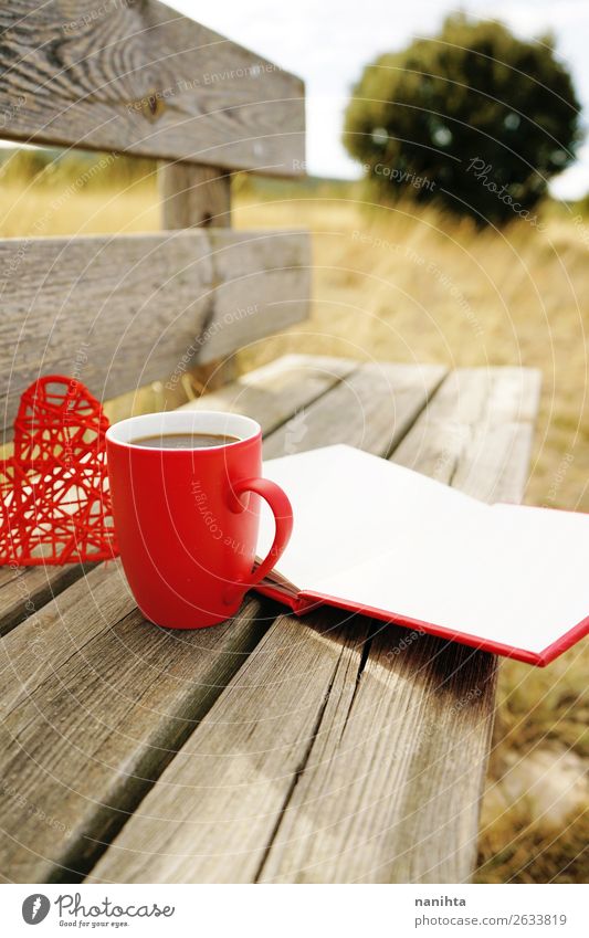 Red mug with coffee in a wooden bench Breakfast Beverage Hot drink Coffee Tea Cup Winter Culture Book Autumn Warmth Heart Delicious Serene Smart sunny fall