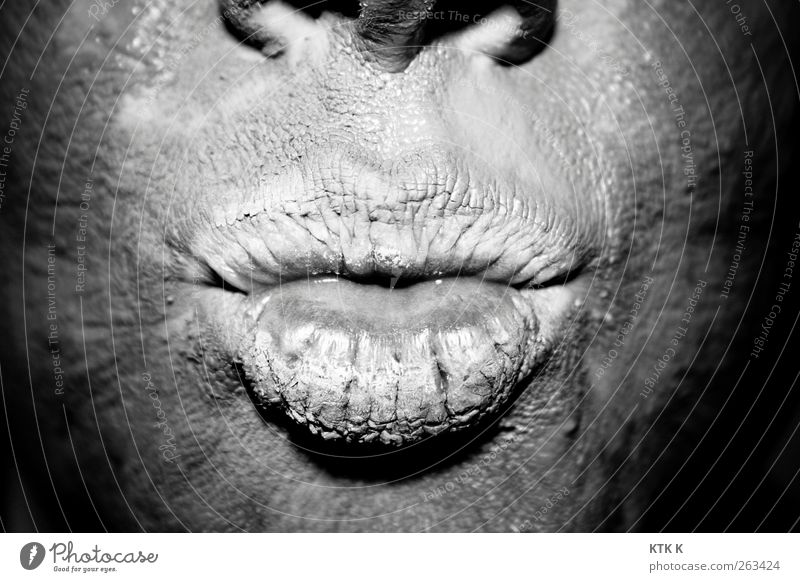 Kiss me! Kiss me! Beautiful Personal hygiene Skin Face healing earth Nose Mouth Lips Art Elements Earth Dirty Silver Dry Black & white photo Close-up Detail