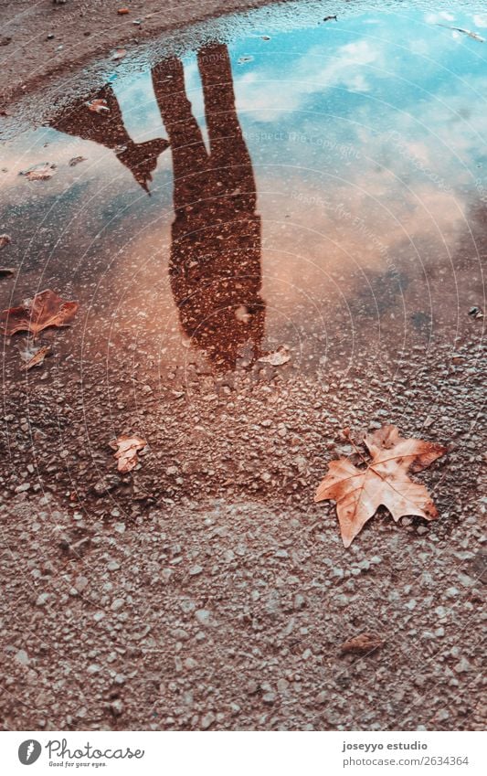 Reflection in a puddle of a woman with her dog Lifestyle Beautiful Winter Human being Friendship Adults Animal Sky Autumn Storm Rain Leaf Dog Love Dark Cold