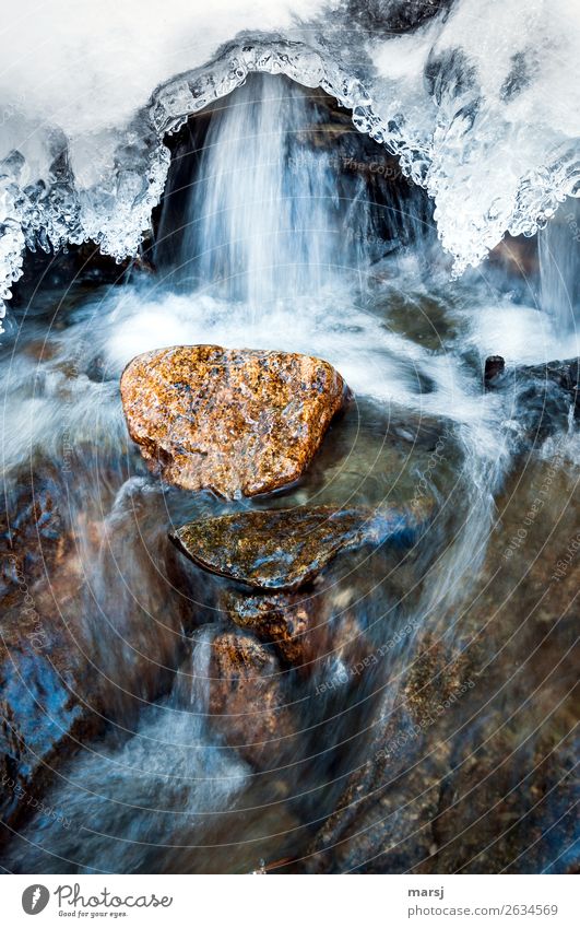 Transformation | Ice to water Life Nature Water Spring Frost Brook Stone Cold Natural Purity Sadness Beginning Movement Ease Dream Survive Change Fluid