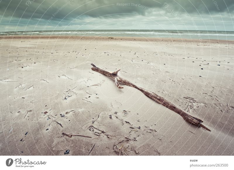 stock photo Far-off places Environment Nature Landscape Elements Sand Air Water Sky Clouds Horizon Winter Climate Weather Wind Coast Beach Baltic Sea Ocean Wood