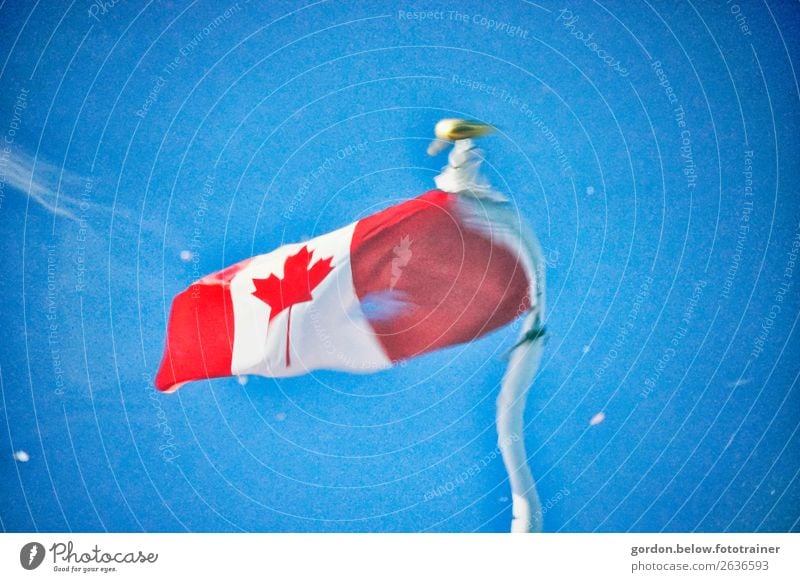 Canada's flag in motion Sky Wind Movement Blue Gold Red Black White Happy Enthusiasm Power Colour photo Exterior shot Deserted Neutral Background Day