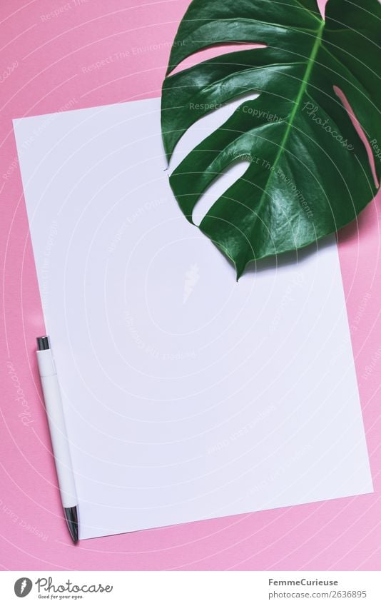 Paper & the leaf of a monstera on pink background Stationery Piece of paper Creativity Design Monstera Plant Part of the plant Ballpoint pen Pink White Empty