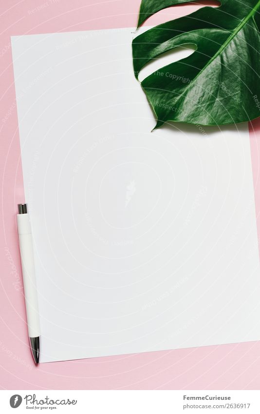 White sheet of paper & the leaf of a monstera on pink background Nature Stationery Paper Piece of paper Creativity Design Structures and shapes Ballpoint pen A4