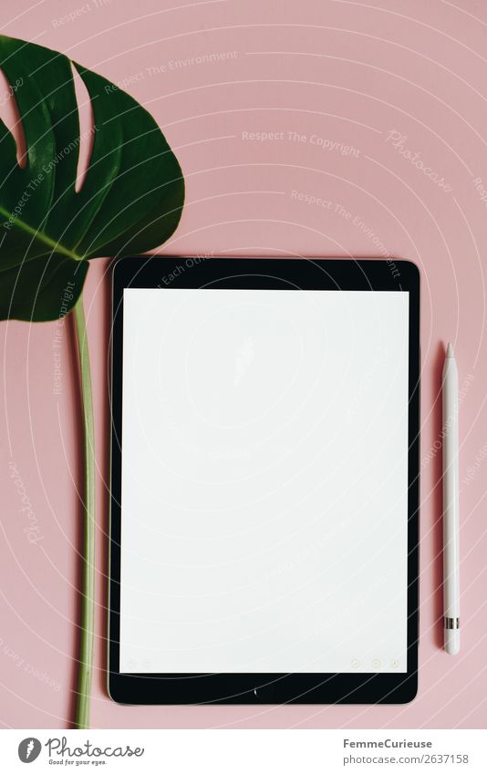 Tablet and leaf of a monstera on pink background Technology Entertainment electronics Advancement Future Stationery Paper Creativity Tablet computer Monstera