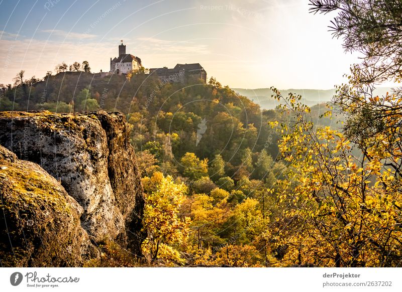 Wartburg castle in Eisenach in autumn light Autumn leaves Autumnal Vacation & Travel Sunset Vantage point Relaxation Calm Meditation Rock Uniqueness Freedom