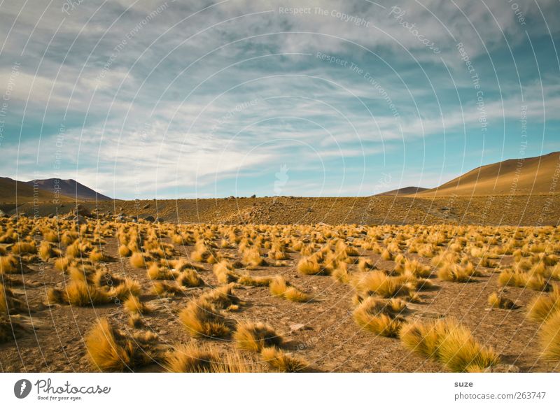 Wild Land Environment Nature Landscape Elements Earth Sand Air Sky Horizon Summer Climate Weather Beautiful weather Hill Desert Exceptional Gloomy Dry Blue