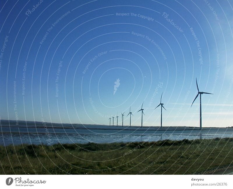 windmills Energy industry Machinery Technology Science & Research Advancement Future Renewable energy Wind energy plant Environment Nature Landscape Plant Water