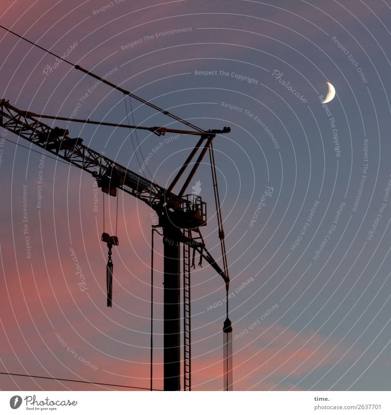 Well, well, well, well, well for today. Work and employment Workplace Construction site Crane Sky Clouds Moon Beautiful weather Dusk Steel Line Romance Serene