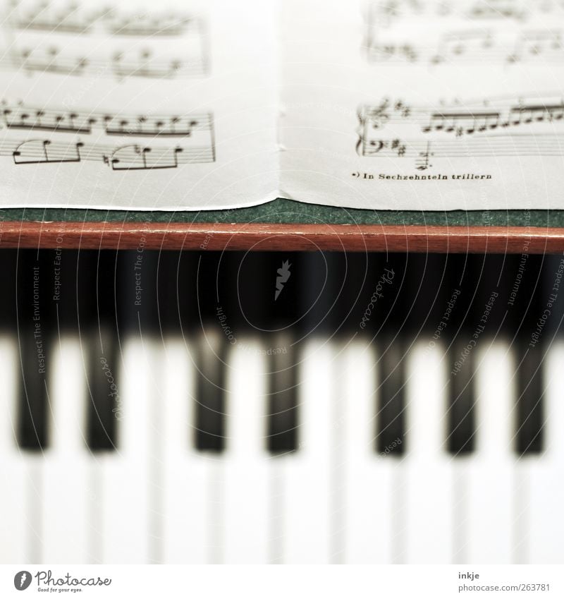 trill in sixteenths Music Piano Musical notes Keyboard Classical Musical instrument Music tuition Colour photo Interior shot Close-up Detail Deserted