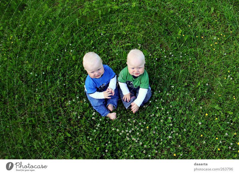 brothers Human being Child Baby Boy (child) 2 1 - 3 years Toddler Nature Summer To enjoy Crawl Smiling Simple Healthy Friendliness Small Green