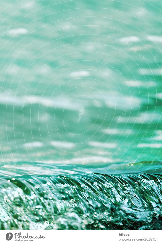 Once again a wave Elements Water Waves Lakeside Green Structures and shapes Exterior shot Copy Space top Motion blur
