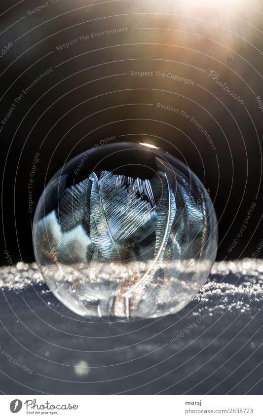 888 | Transformation | into a work of art Harmonious Meditation Art Winter Ice Frost Snow Soap bubble Illuminate Exceptional Dark Thin Authentic Success