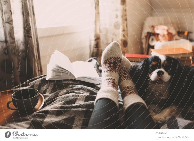 cozy winter day at home with cup of hot tea Tea Lifestyle Relaxation Leisure and hobbies Reading Winter House (Residential Structure) Friendship Feet Book