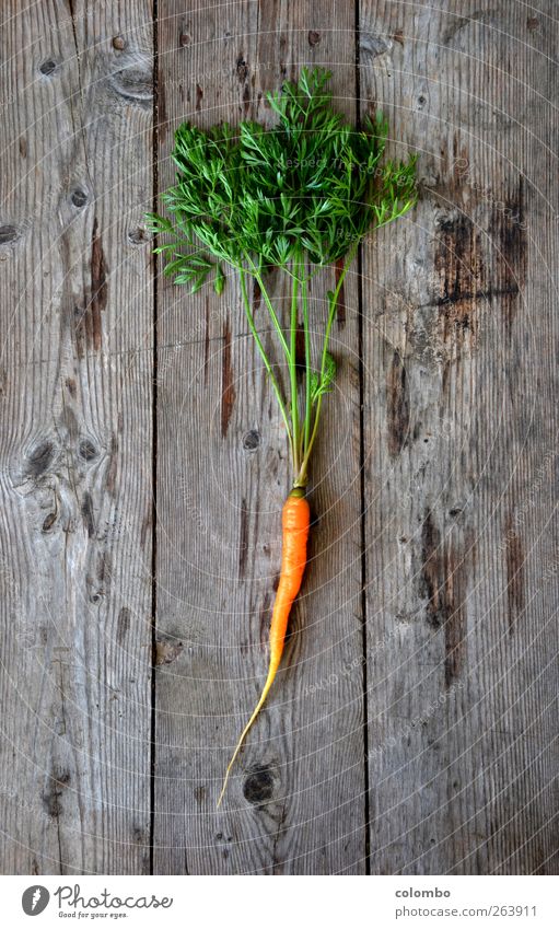carrot Beautiful Healthy Healthy Eating Athletic Fitness Wellness Life Well-being Cure Summer Hiking Plant Earth Agricultural crop Carrot Orange Nutrition