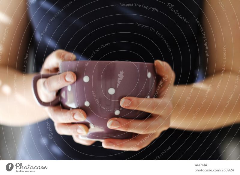 Moin! Coffee, please. Beverage Hot drink Tea Human being Feminine Young woman Youth (Young adults) Woman Adults Body Hand 1 Blue Violet Cup Thirst Fingers