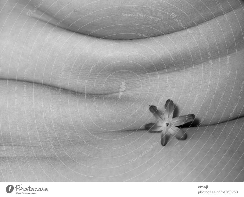 Love is Feminine Body Skin Stomach 1 Human being Flower Fat Overweight Wrinkle Roll of flab Blossom Black & white photo Interior shot Close-up Detail