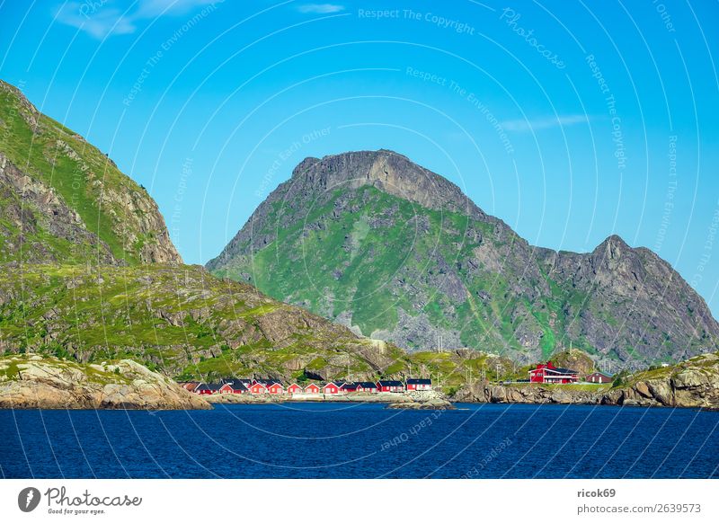 Coast of Lofoten in Norway Relaxation Vacation & Travel Tourism Summer Ocean Mountain House (Residential Structure) Environment Nature Landscape Water Clouds
