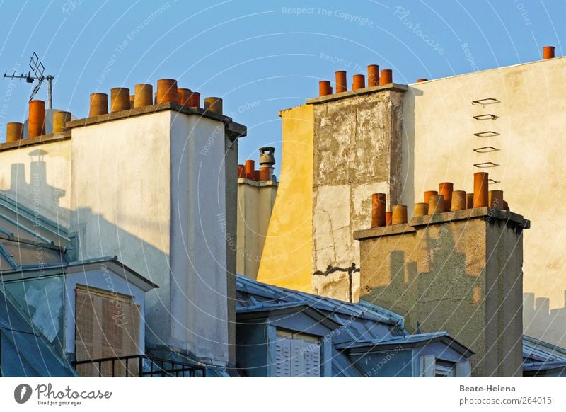 On the roofs of Paris Living or residing Flat (apartment) Capital city Building Window Roof Stone Sleep Blue Yellow Pink Sympathy Mansard Skylight Fire ladder